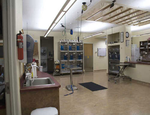 Treatment room