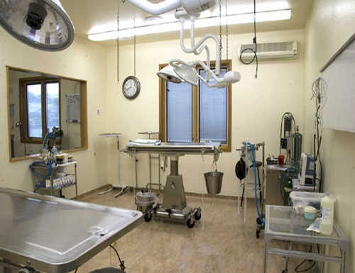Surgical suite