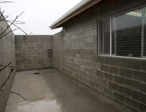 Pet exercise area