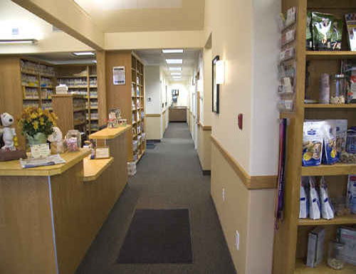 Reception and corridor to exam rooms